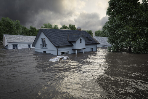 environmental-health/Flood Information-Education.jpg